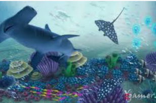 ayx大厅手机版最新版