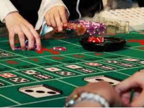 ayx大厅手机版2024最新版